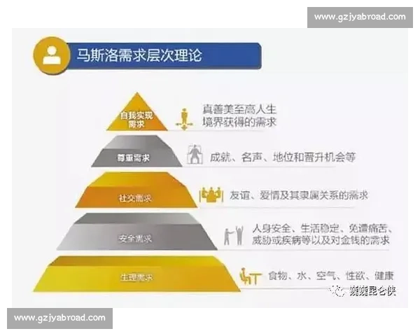 全球知名体育组织发展历程与未来战略解析及其对世界体育格局影响