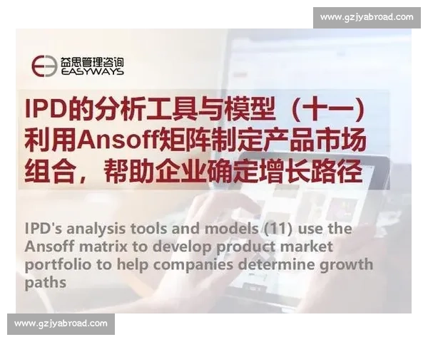 围绕产品矩阵布局探索创新策略与市场拓展路径分析